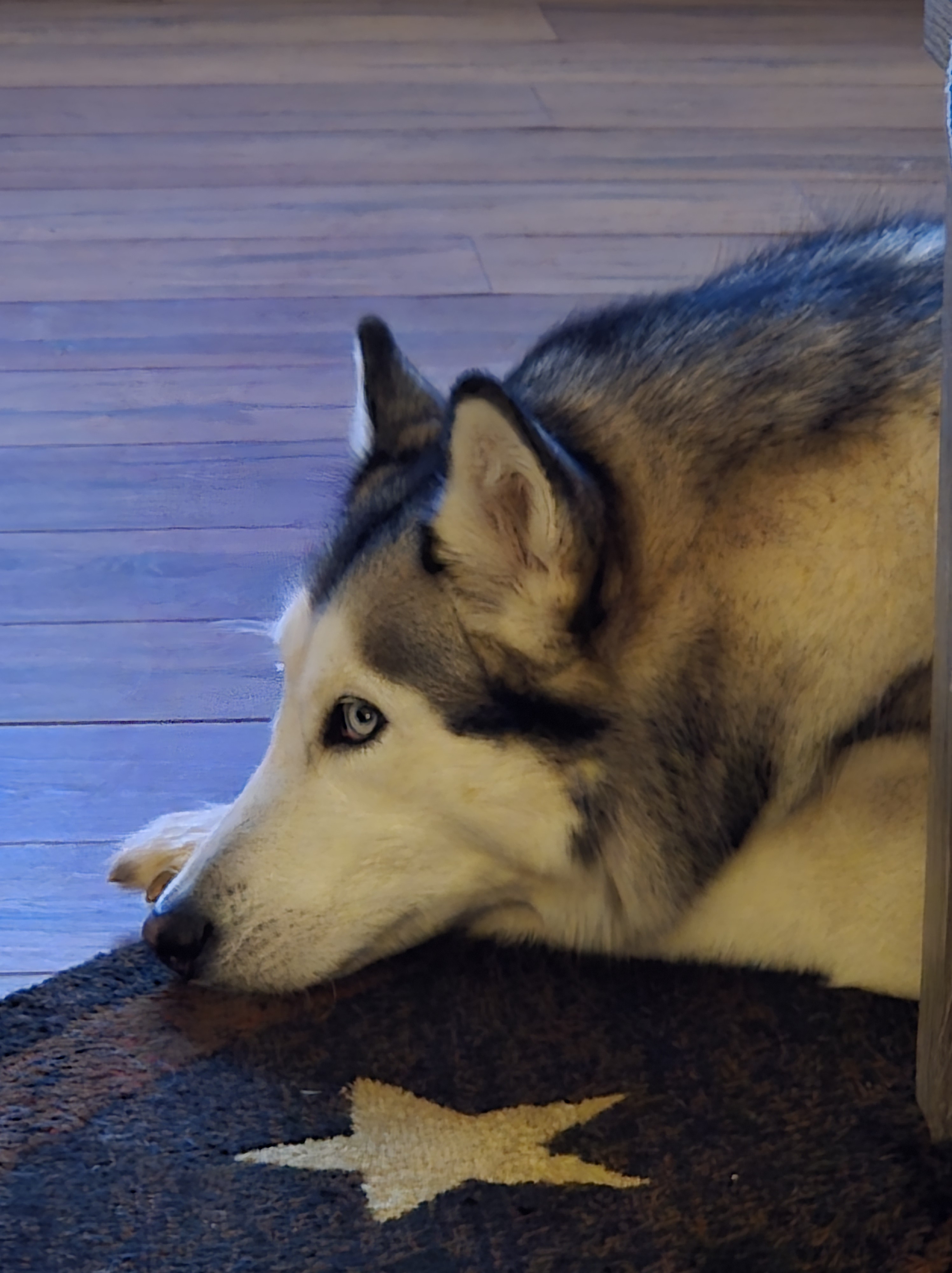 prostate cancer information